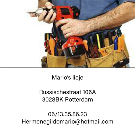 Mario's lieje 
